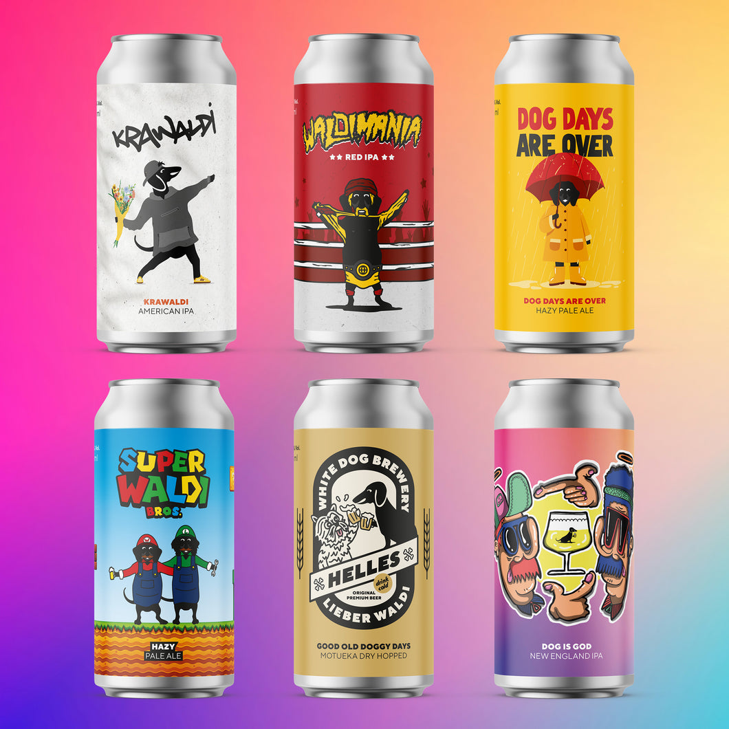 Probierpaket | 12-Pack